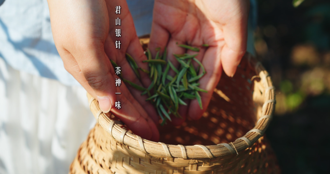 微信圖片_20250320125835.png