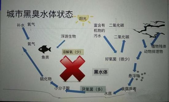 江蘇億元投資治污新技術(shù) 石墨烯能否治理黑臭水體？