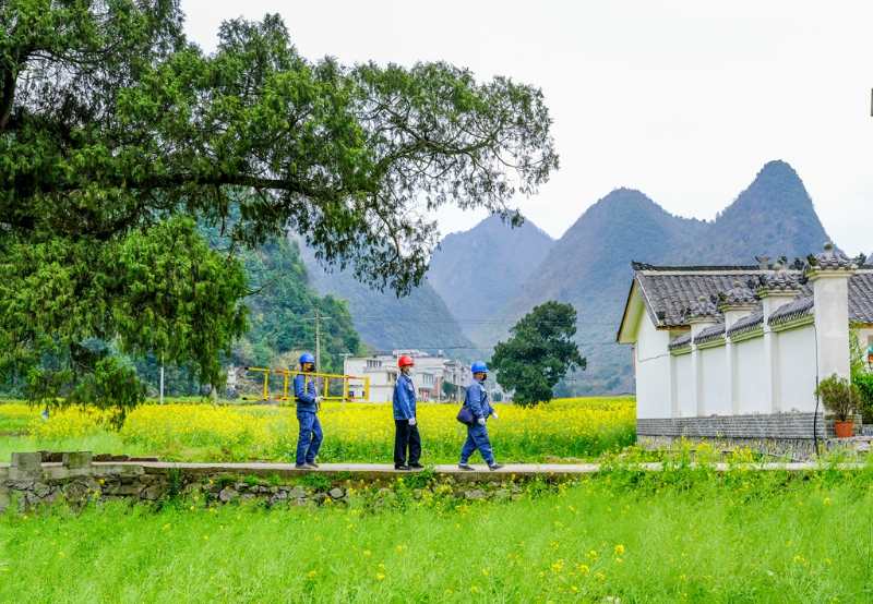 平塘供電局：“網(wǎng)格化”服務(wù)，護(hù)航“菜籃子”