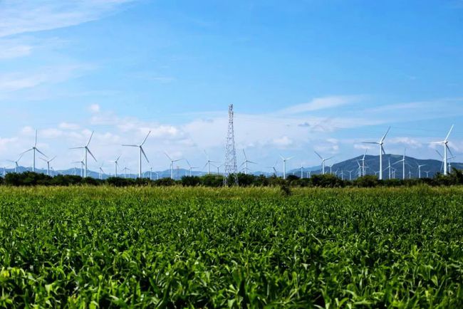 收購墨西哥818MW光伏電站，國家電投境外光伏電站裝機超6GW