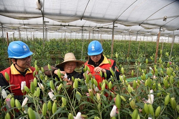國網(wǎng)海寧市供電公司：優(yōu)質服務暖花農 助力特色產業(yè)發(fā)展