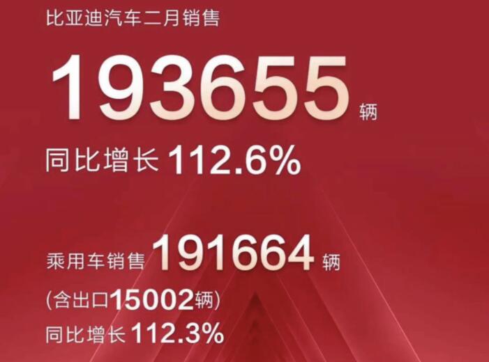 2月新能源車企成績(jī)單出爐，比亞迪一騎絕塵