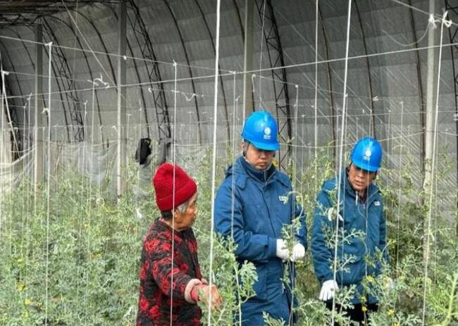 山東惠民供電公司：走訪種植大棚，優(yōu)化農(nóng)業(yè)營商環(huán)境