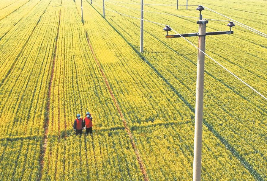 建立服務臺賬，精準了解村民用電需求