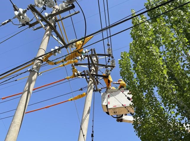 帶電作業(yè)除隱患，安全供電有保障