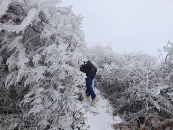 【新春走基層】迎雪而上攻堅行，奮戰(zhàn)不息護(hù)光明