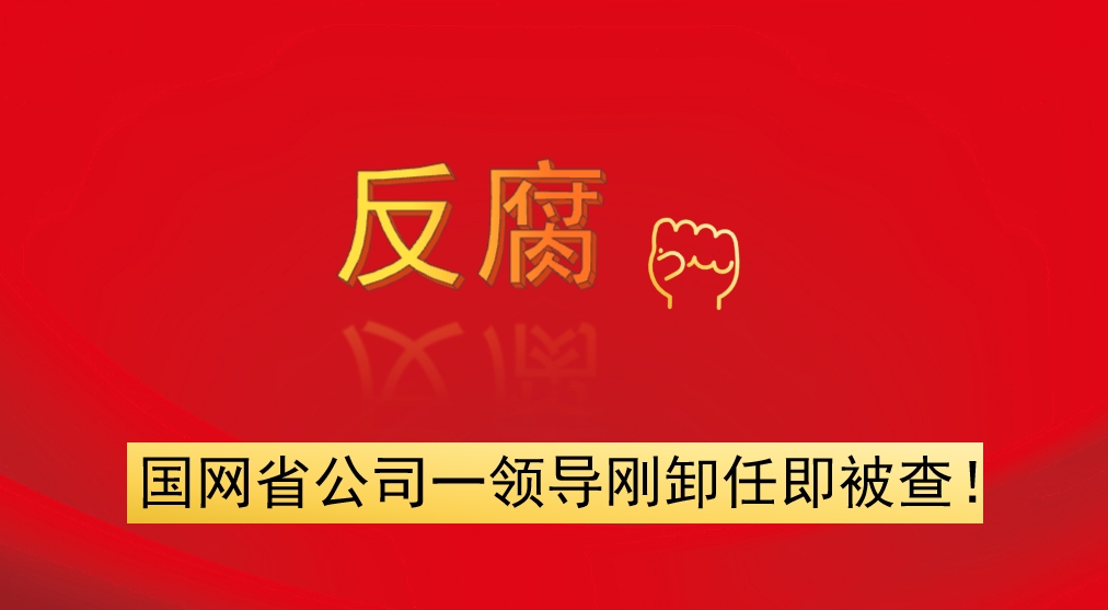 國網(wǎng)省公司一領(lǐng)導(dǎo)剛卸任即被查！